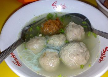 Manfaat Besar dari Si Kecil Bawang Putih