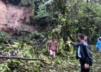 Korban Longsor di Paal Dua Meninggal, Sempat Dievakuasi Gunakan Mobil Dinas Danrem 131/Santiago