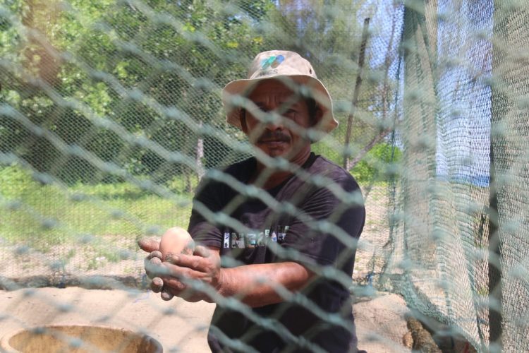 Hanafi, Penyelamat Maleo dari Ancaman Kepunahan di Bolsel