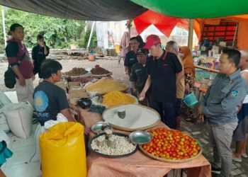 Bupati Tinjau Ketersediaan Stok dan Harga Sembako