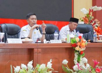 Bupati Iskandar Kamaru Beri Kuliah Umum Dalam Latsar CPNS