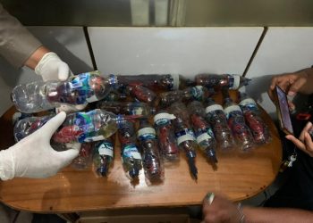 Kardus Susu Serdadu Digunakan Selundupkan Hewan Langka Burung Nuri Talaud