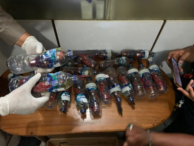 Kardus Susu Serdadu Digunakan Selundupkan Hewan Langka Burung Nuri Talaud