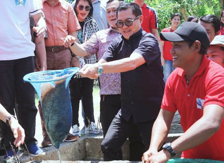 Tidak Hanya “Omon-Omon”, Begini Respons Bupati JG Menyikapi Peluang Bisnis Ikan Nila Minut yang Makin Terbuka