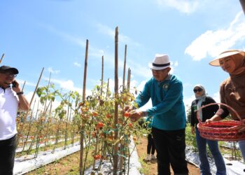 Asripan Panen Hasil Program Mari Jo Ba Kobong