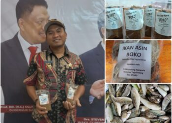 Ikan Boko Olahan TP PKK Kampung Apengsala Turut Ramaikan Kegiatan GTTGN XXV di Lombok