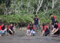 2.000 Mangrove untuk Pantai Tatiala Manado