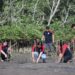 2.000 Mangrove untuk Pantai Tatiala Manado