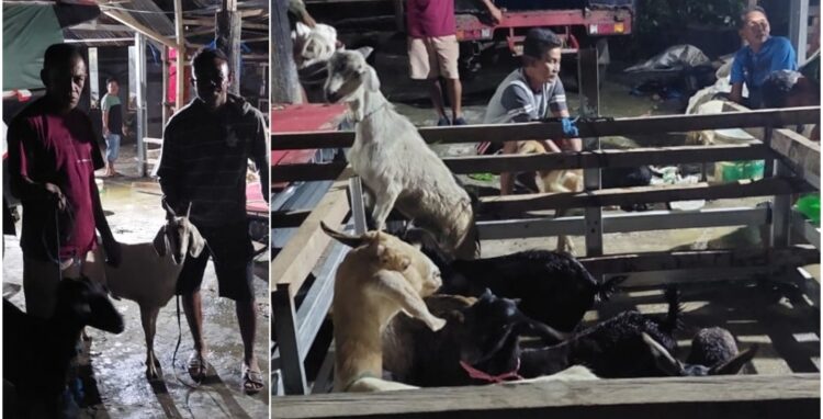 Salurkan Bantuan 18 Ekor Kambing, Begini Harapan Pemerintah Kampung Lesah