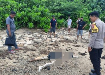 Penemuan Mayat di Pantai Tipulu Siau Timur Selatan, Keluarga Menolak Diautopsi, Ada Apa?