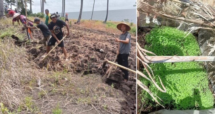 Tunjang Program Pangan Presiden Prabowo, Pemerintah Kampung Buha Gandeng TNI-Polri Manfaatkan Lahan Tidur Untuk Pertanian