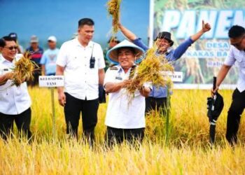 Gubernur Sulut Yulius Selvanus Tindak Cepat Keluhan Petani Minahasa