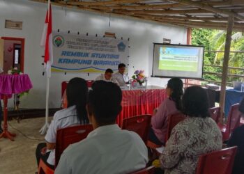 Gelar Rembuk Stunting, Pembangunan Poskesdes Jadi Prioritas 2026 Pemerintah Kampung Birarikei