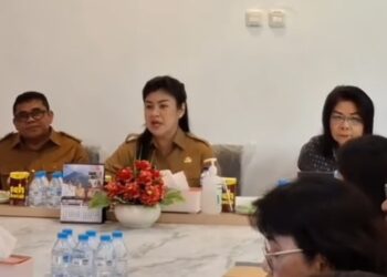 Bupati Chyntia I Kalangit Bahas Kiat Bagaimana Tingkatkan Layanan Kesehatan Bersama BPJS