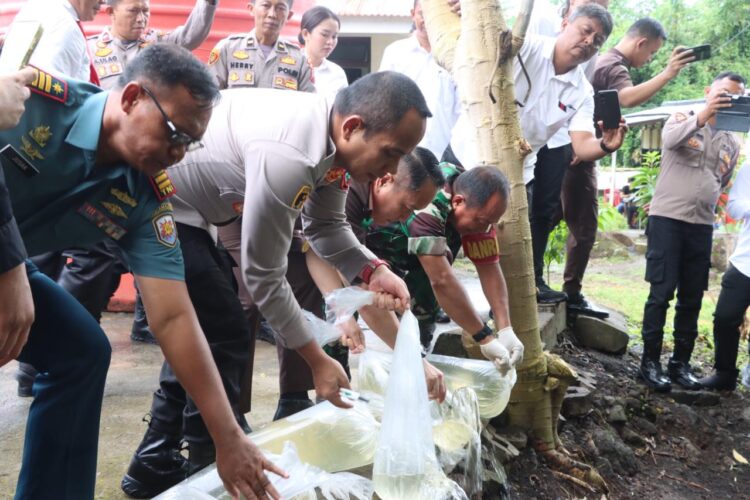 Polres Kepulauan Sitaro Musnahkan 3.000-an Liter Cap Tikus Ilegal Hasil Operasi Pekat Samrat 2025