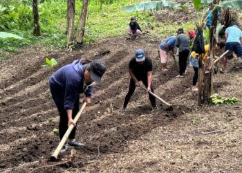 TP-PKK Kampung Botto Dukung Ketahanan Pangan Lewat Pemanfaatan Lahan Pertanian
