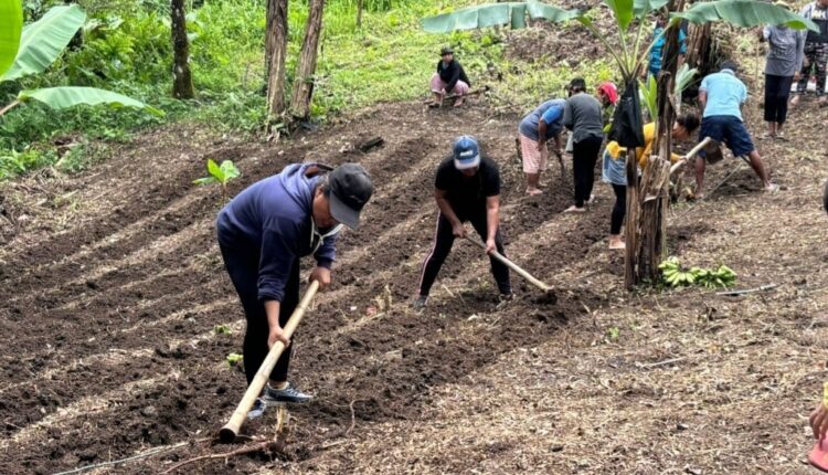 TP-PKK Kampung Botto Dukung Ketahanan Pangan Lewat Pemanfaatan Lahan Pertanian