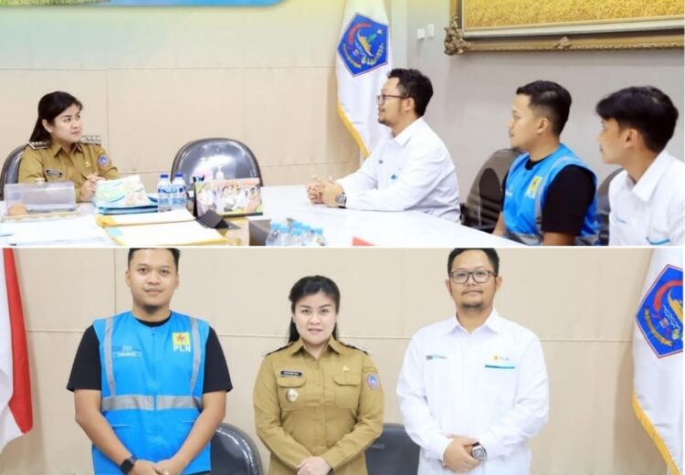 Lagi, Bupati Chyntia Gelar Pertemuan Dengan Kepala PLN Siau, Terungkap Salah Satu Penyebab Listrik Padam
