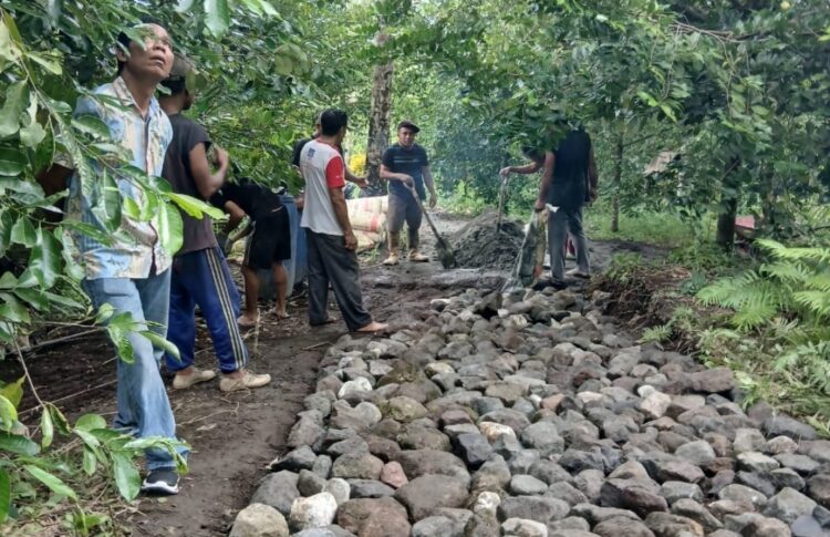 Pemerintah Kampung Tulusan Lanjutkan Pembangunan Jalan Usaha Tani di Lindongan II