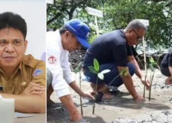 Dukung Program Pelestarian Lingkungan, Pemkab SITARO Tanam Mangrove di Kampung Kapeta