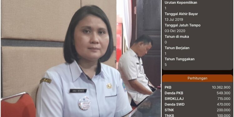 Soal Mobil Dinas DB 1 F Menunggak Pajak, Begini Penjelasan Kaban Carla: Masih Dipegang Pejabat Sebelumnya