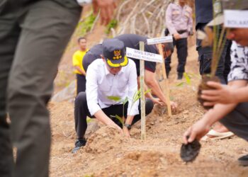 Bupati Bolsel Ikut Aksi Rehabilitasi Lahan Bekas Tambang di Bolmong